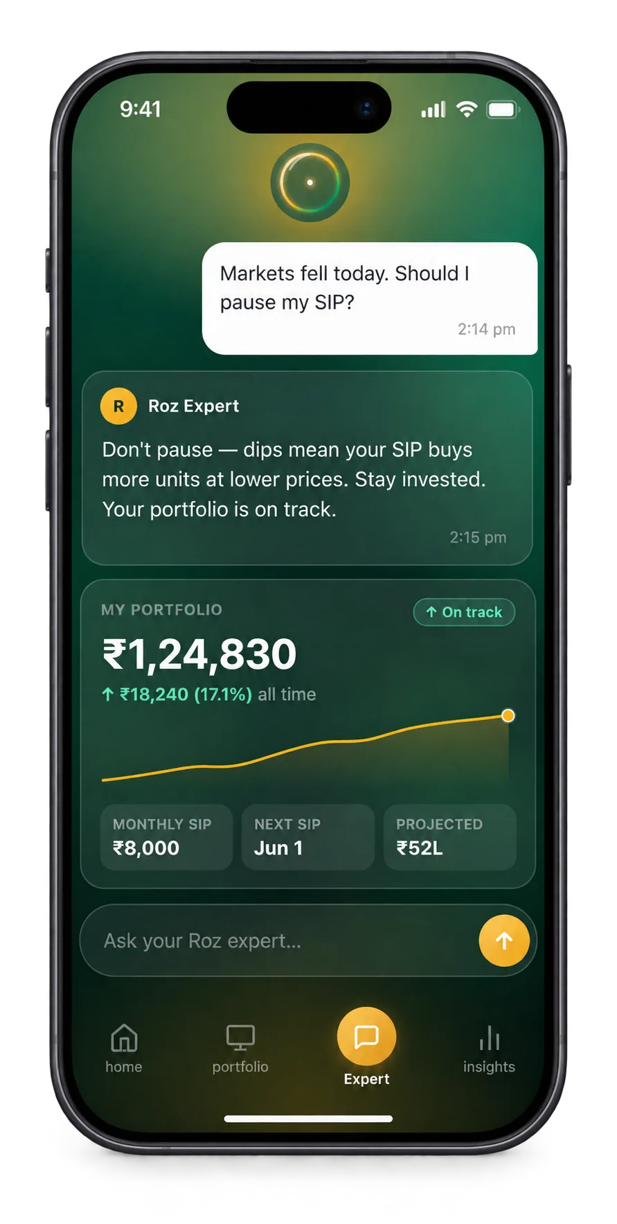 Roz Expert app portfolio conversation on an iPhone